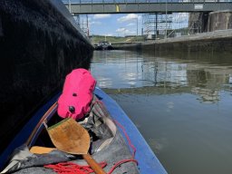 Mainschwimmen Juni 2026
